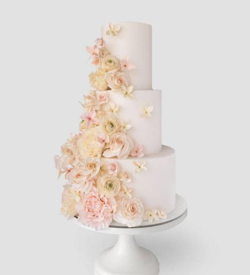 The Sweet Journey: A Captivating Tale of Wedding Cakes