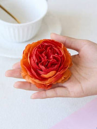 6pcs Artificial Peony Flower Heads Artificial Flowers Luxurious Weddings