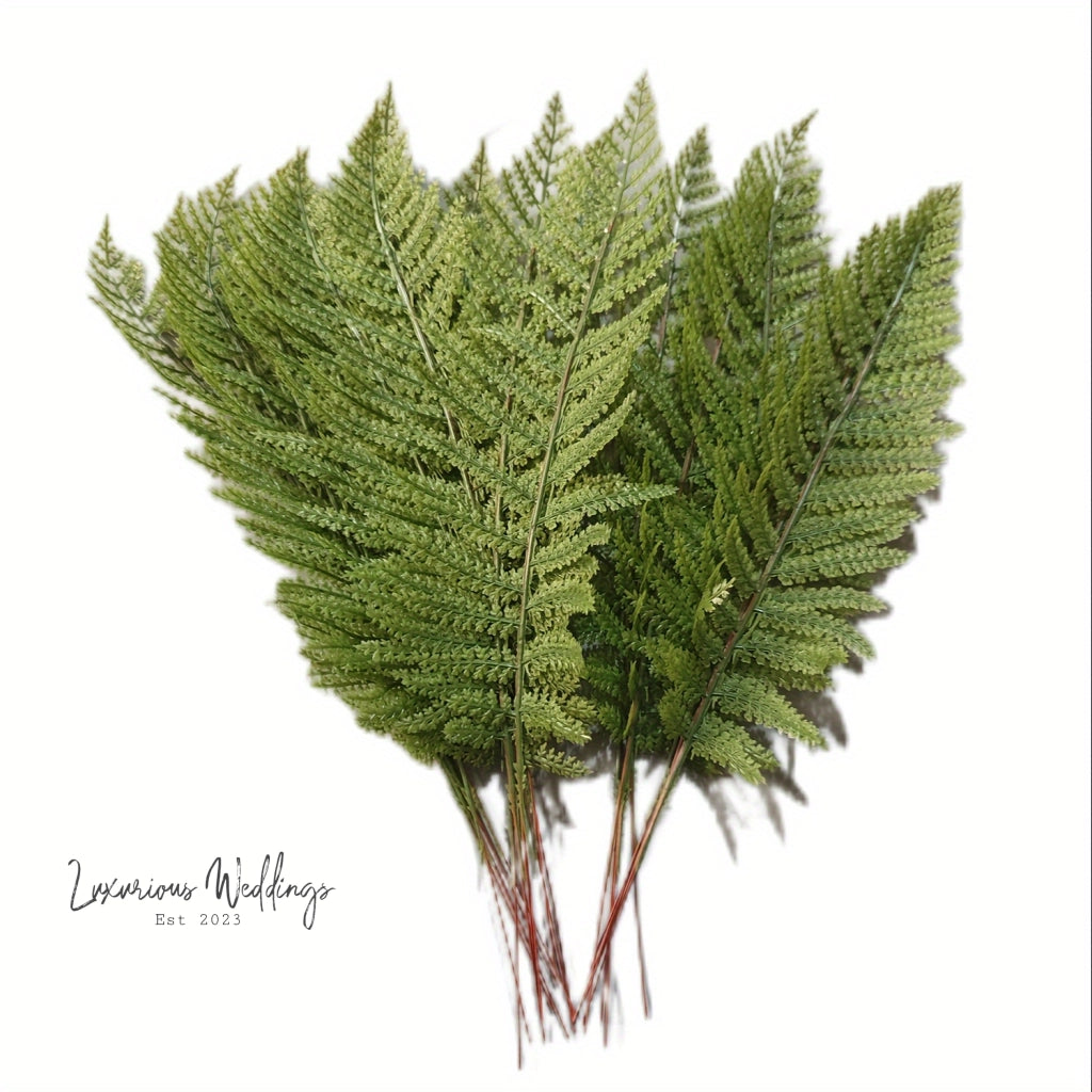Realistic Artificial Ferns & Shrubs Fern Leaves Luxurious Weddings