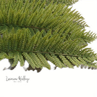Realistic Artificial Ferns & Shrubs Fern Leaves Luxurious Weddings