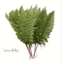 Realistic Artificial Ferns & Shrubs Fern Leaves Luxurious Weddings