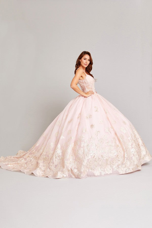 SLEEVELESS SWEETHEART QUIJNCEANERA BALL Quinceanera Ball Gown Luxurious Weddings