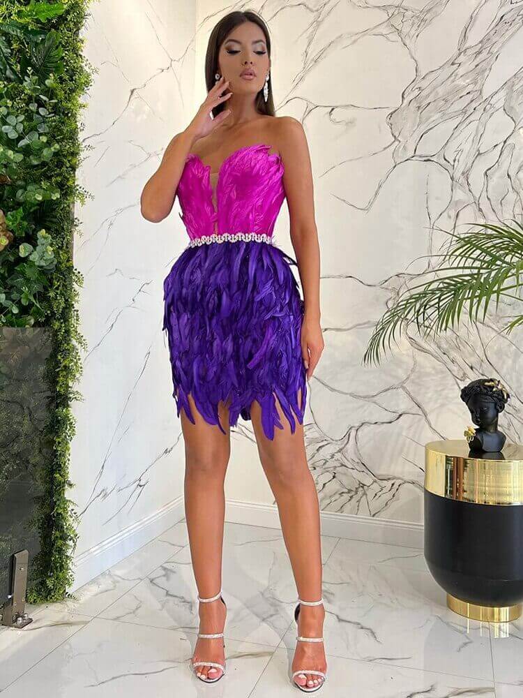 High Waist Feather Crystal Design Mini Dress Feather Dress Luxurious Weddings