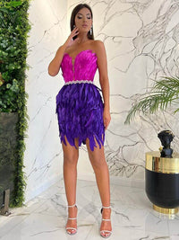 High Waist Feather Crystal Design Mini Dress Feather Dress Luxurious Weddings