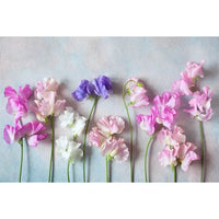 Flower Wooden Wall Product Photography Backdrops for all Special Events Photo Backdrops Luxurious Weddings