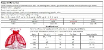 Beaded Embroidered Girls Dress girls dresses Luxurious Weddings