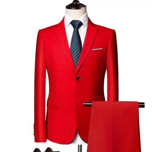 Mens 2pc Suit Mens Suits Luxurious Weddings