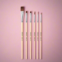 6Pcs - Makeup Brushes