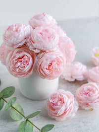 6pcs Artificial Peony Flower Heads Artificial Flowers Luxurious Weddings