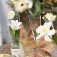 100pcs Premium Plastic Beverage Glass Set Glassware Luxurious Weddings