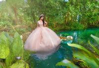 Blush Pink Lace Princess Bridal Dress Wedding dress Luxurious Weddings