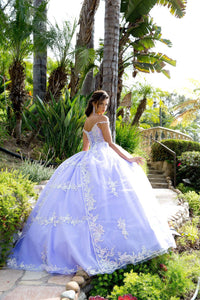 Stunning Sequined Quince Dress Quinceanera dress Luxurious Weddings