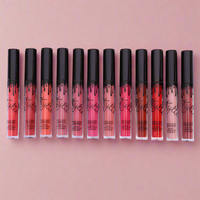 Lip Gloss 12pc Set Liquid Lipstick