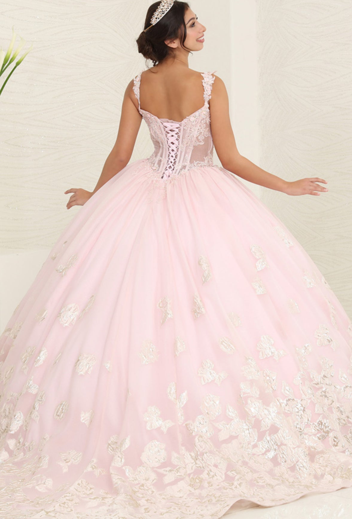 Dreamy Delight Quinceanella dress Luxurious Weddings