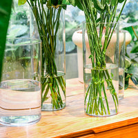 Unbreakable Acrylic Cylinder Flower Vase vases Luxurious Weddings