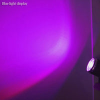 Rotating Disco Spot Party Lights Party Spot Lights Luxurious Weddings