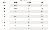 Size chart for plus-size dresses including bust, waist, and hip measurements in cm and inches.