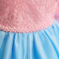 Vintage Birthday Princess Dress girls dresses Luxurious Weddings