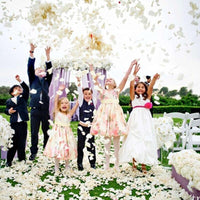 500pcs Silk Rose Artificial Flowers Artificial Flowers Luxurious Weddings